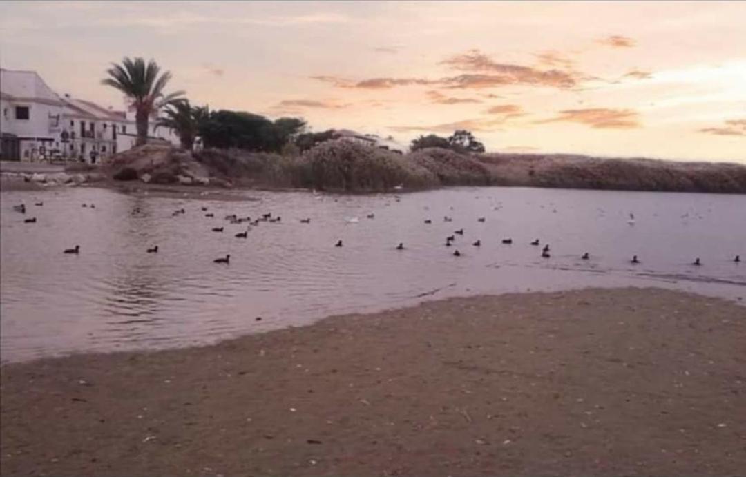 Urbanizacion Vera Coast المظهر الخارجي الصورة